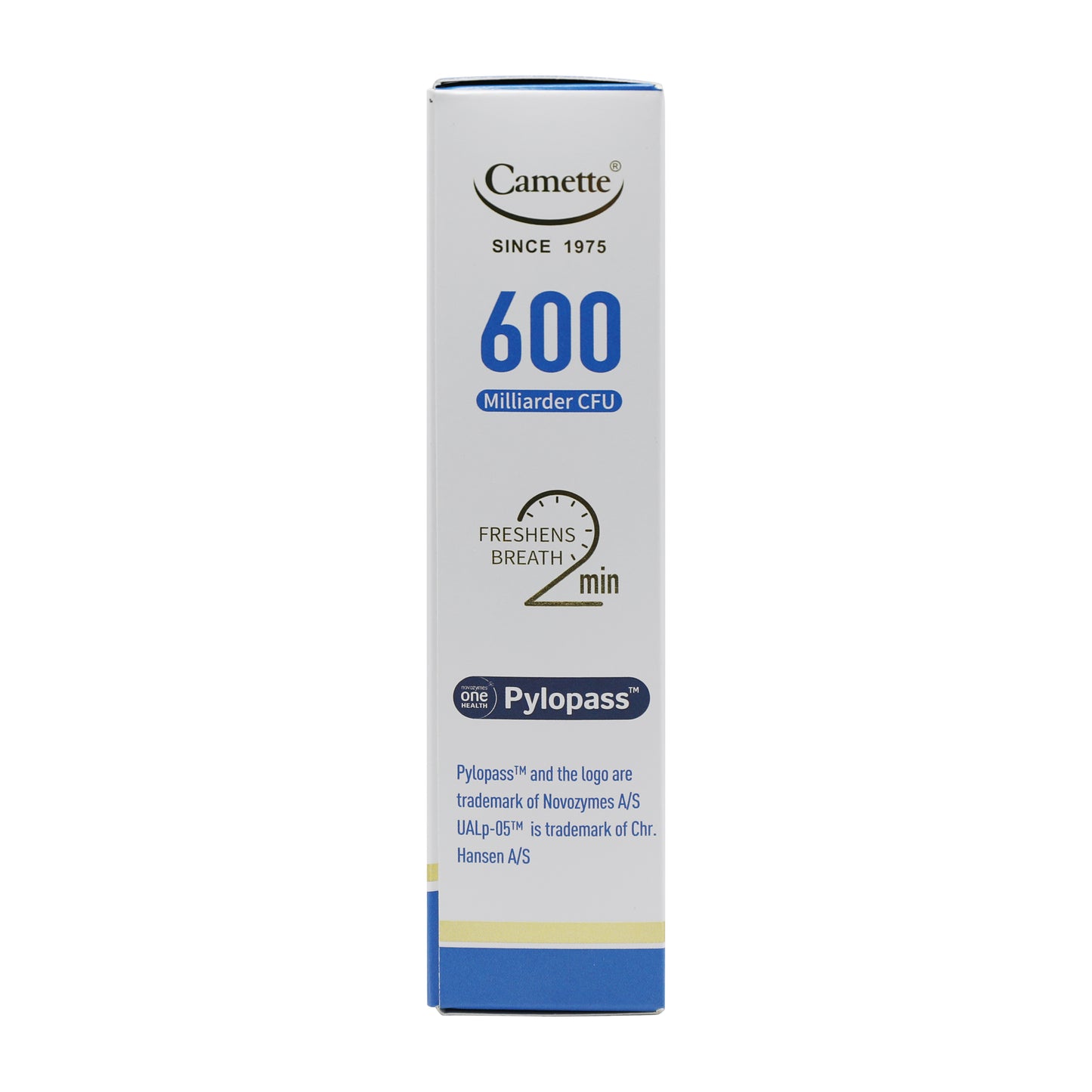 Probiotics such as Lactobacillus reuteri nourish the stomach and regulate the Helicobacter pylori immune system.